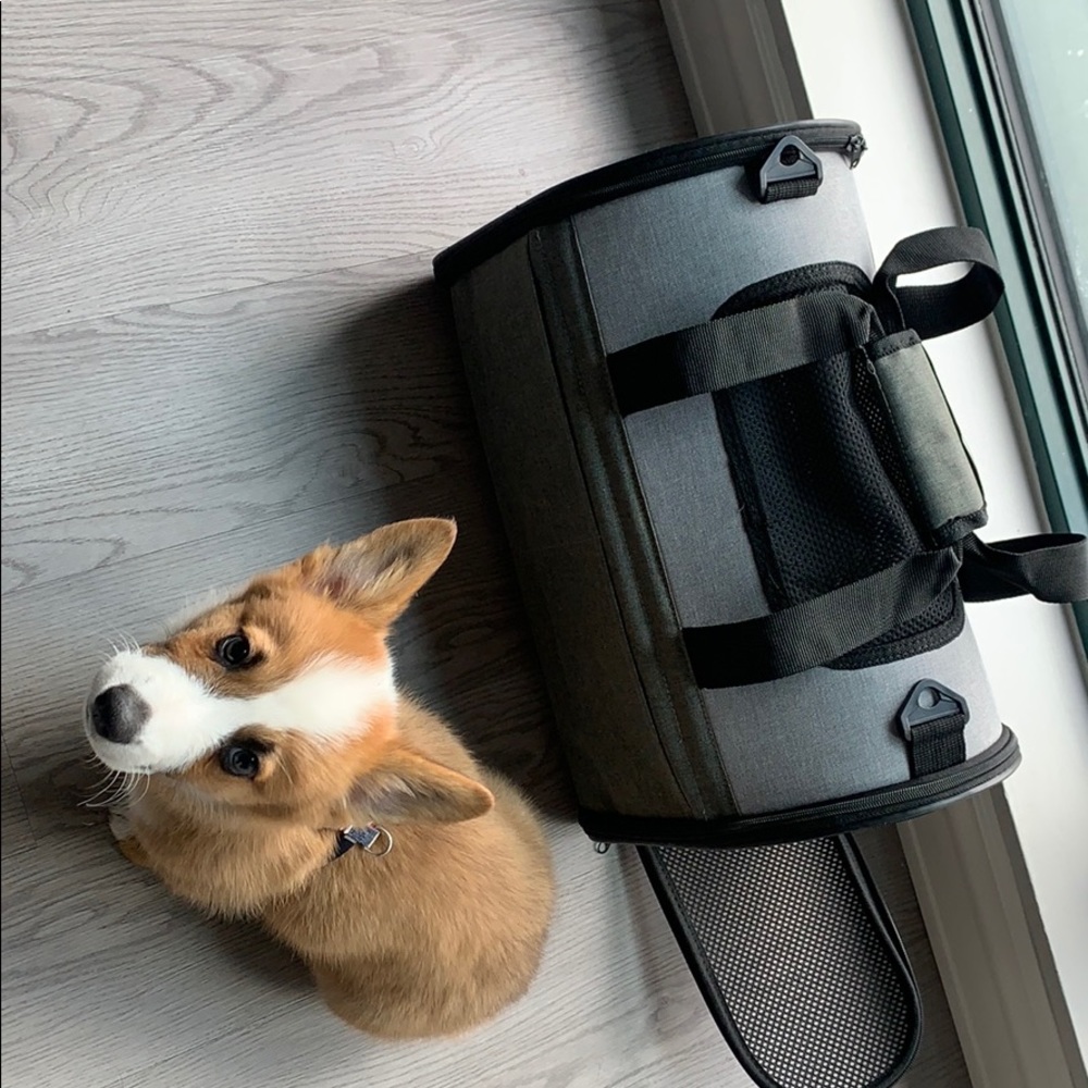 9.99 new puppy travel crate.
